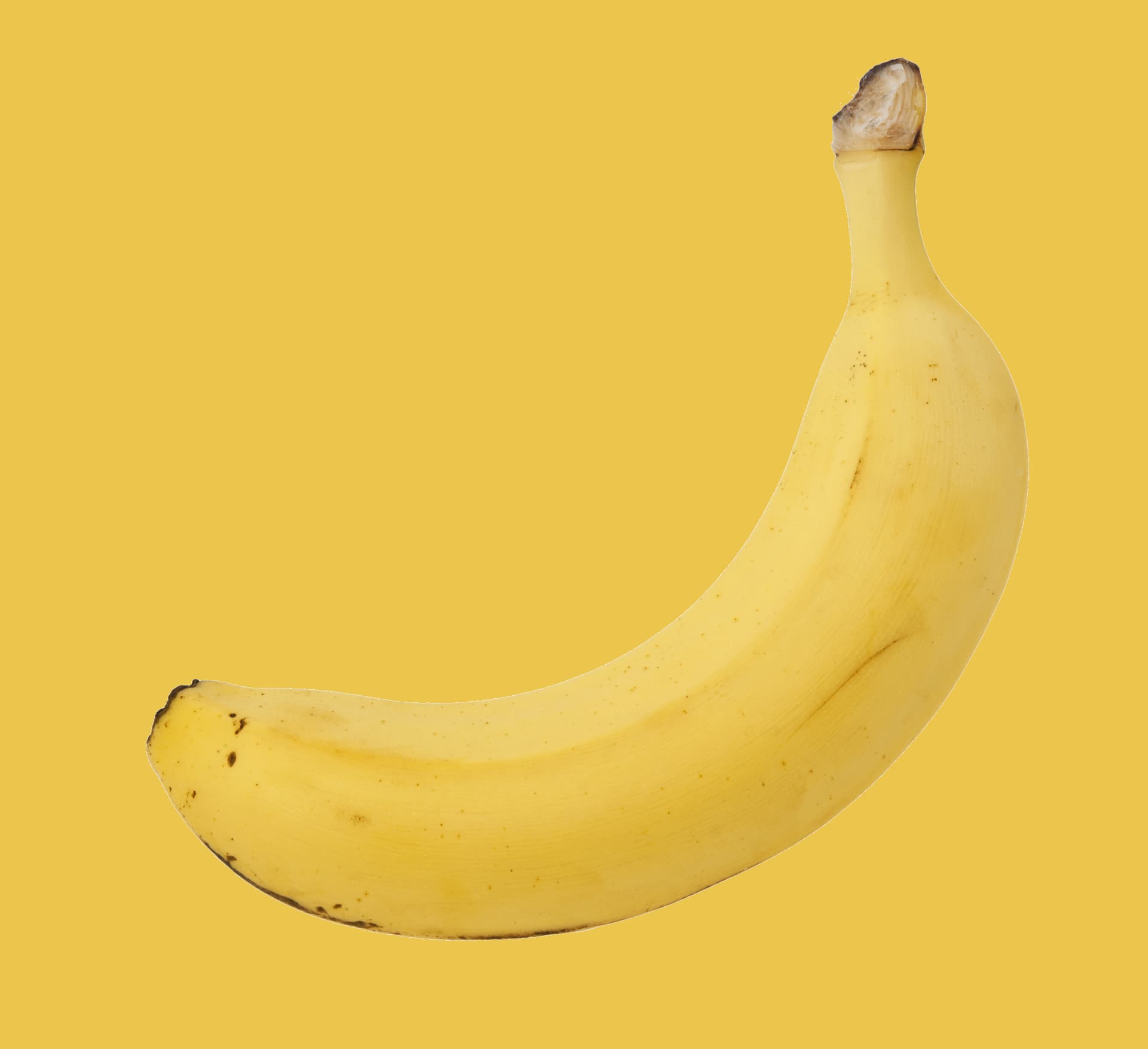 【実践】Blenderでバナナをモデリング part1　＃２