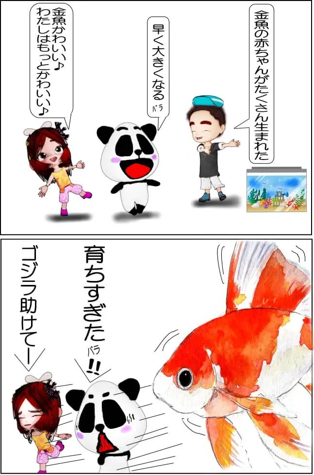 金魚が卵を産んだ！育て方【4コマ漫画】