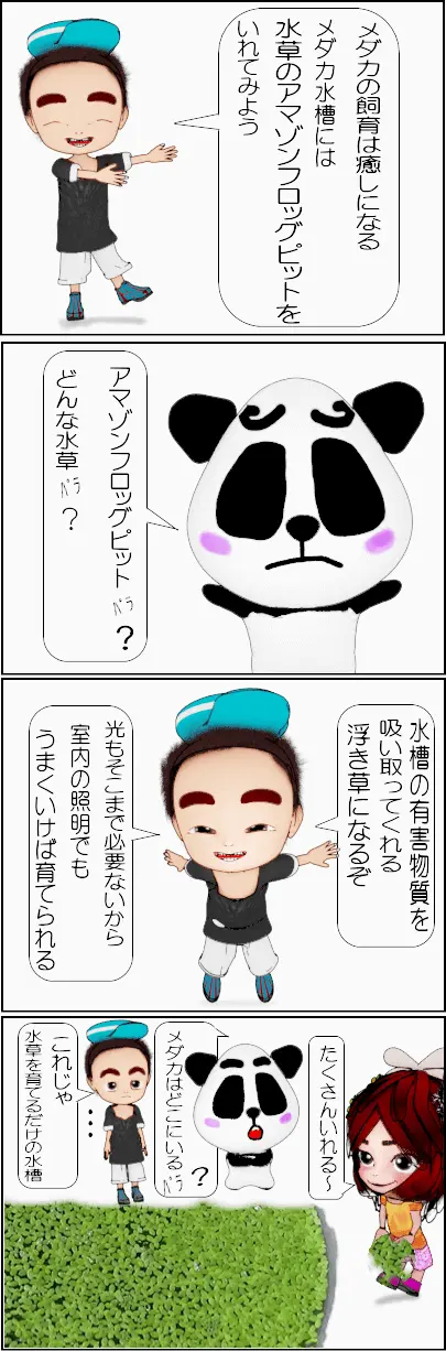 アマゾンフロッグピットの増やし方【4コマ漫画】