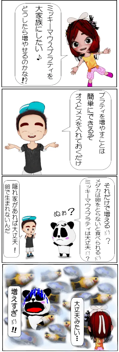 ミッキーマウスプラティを繁殖させる方法【4コマ漫画】