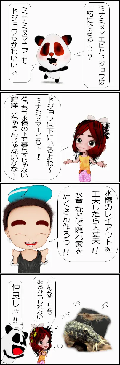 ミナミヌマエビとドジョウは混泳できる？【4コマ漫画】