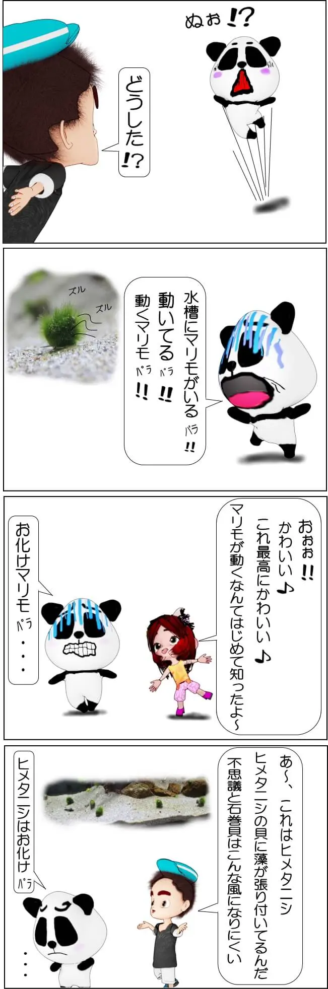 ヒメタニシをマリモにする作り方【4コマ漫画】